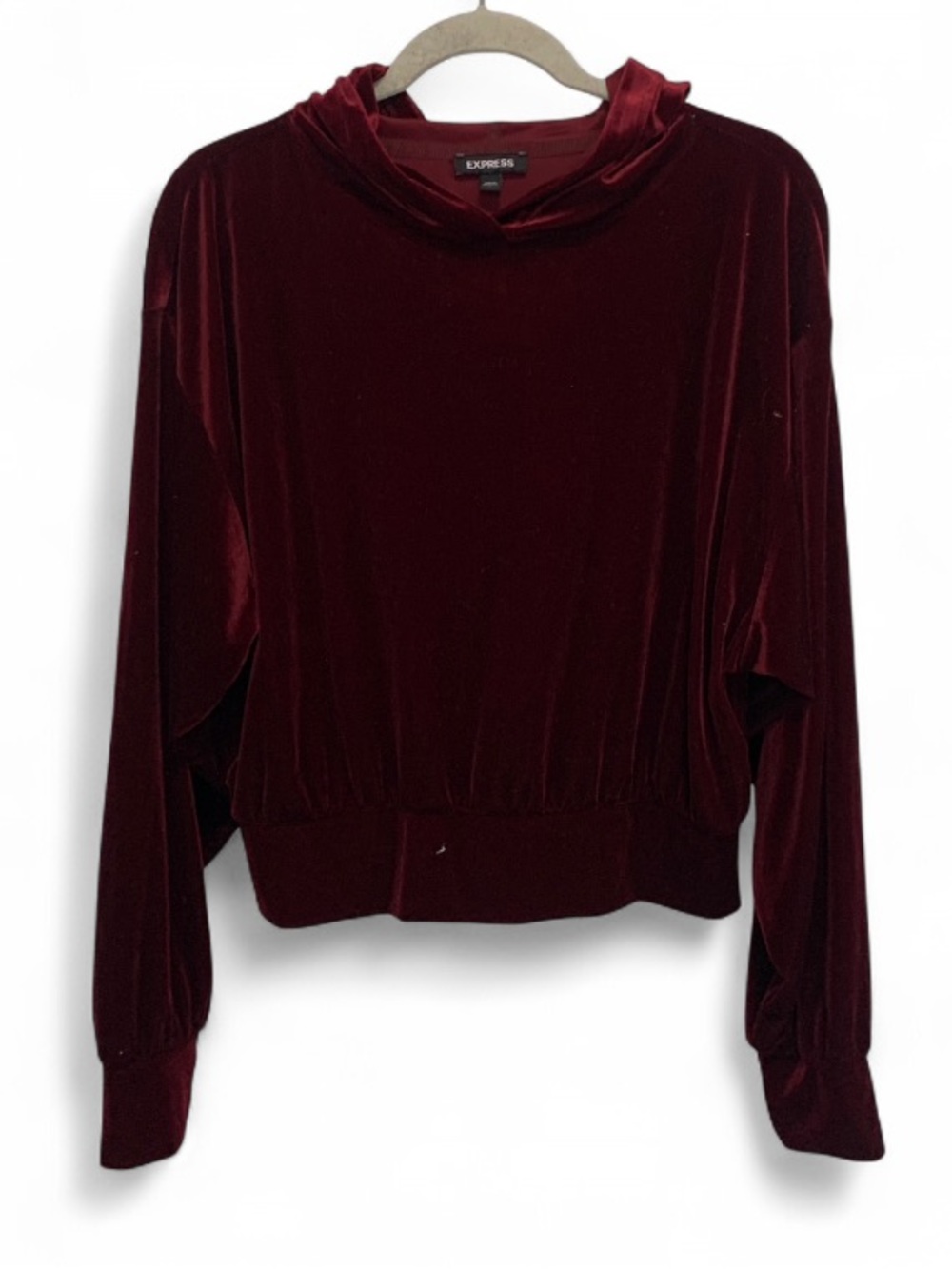 Express Dark Red Witchy Goth Velvet Hoodie